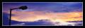 IMG_9506 copy2 (Large)